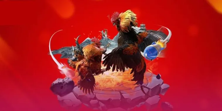 Trải Nghiệm Cá Cược Đá Gà 58Win Đỉnh Cao Nhận Thưởng Lớn Ngay Hôm Nay